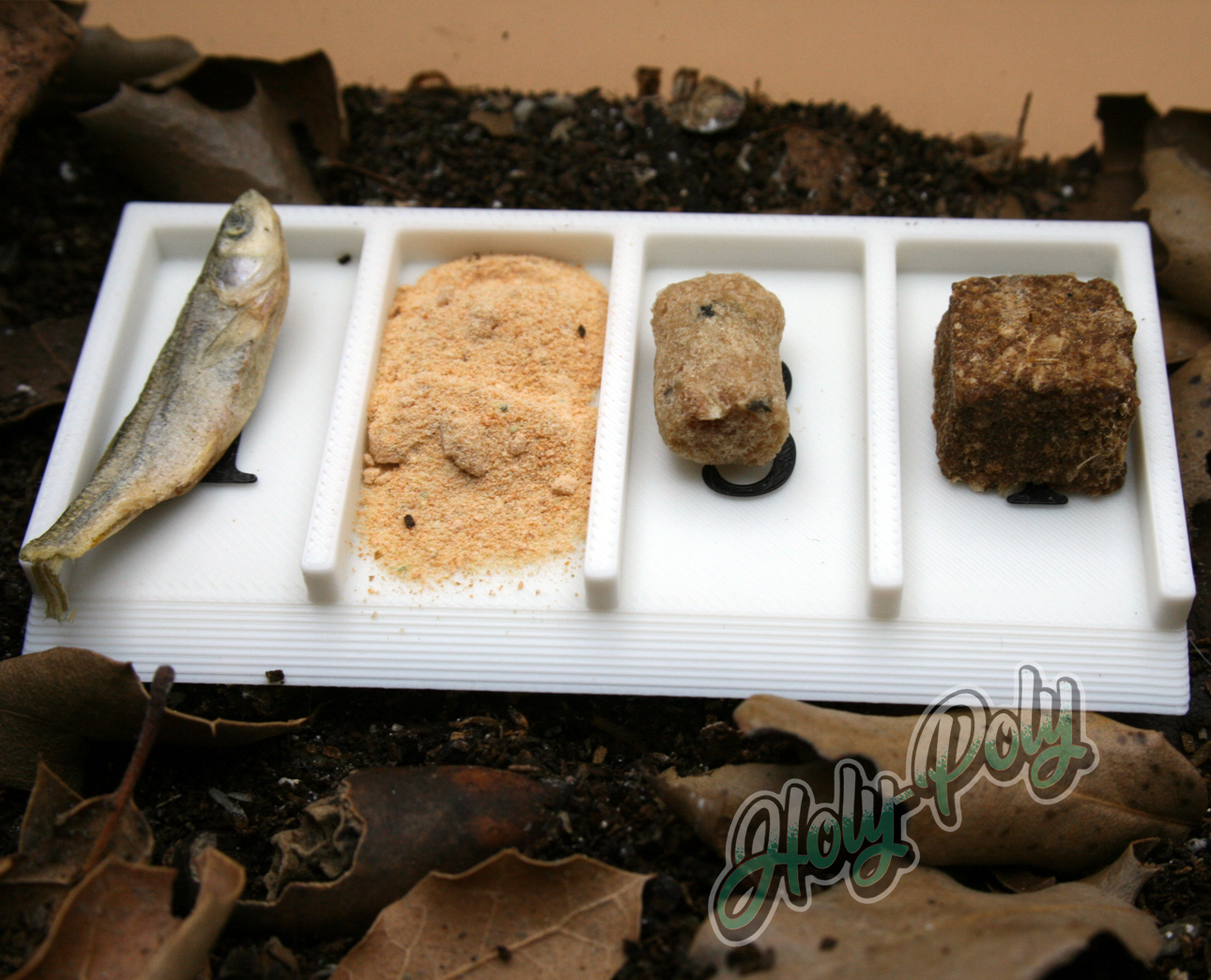 Isopod Food Testing Feeding Tray with labelled dividers
