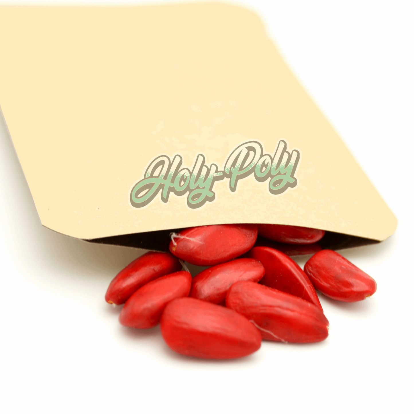 Magnolia Tree Seeds for sale online in the USA. Isopod hotels hides hideouts woodlouse pillbug vivarium bioactive terrarium reptile accessories additions decor leaf litter