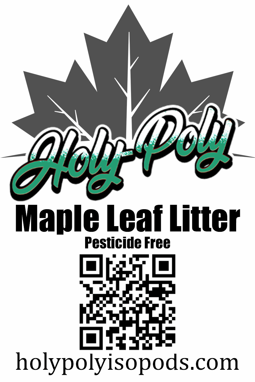 Holy Poly Isopods - Pesticide Free Maple Leaf Litter (Reptile Dart Frog Amphibian Gecko Bioactive Terrarium Vivarium Decor Isopoda Crustacean leaves)