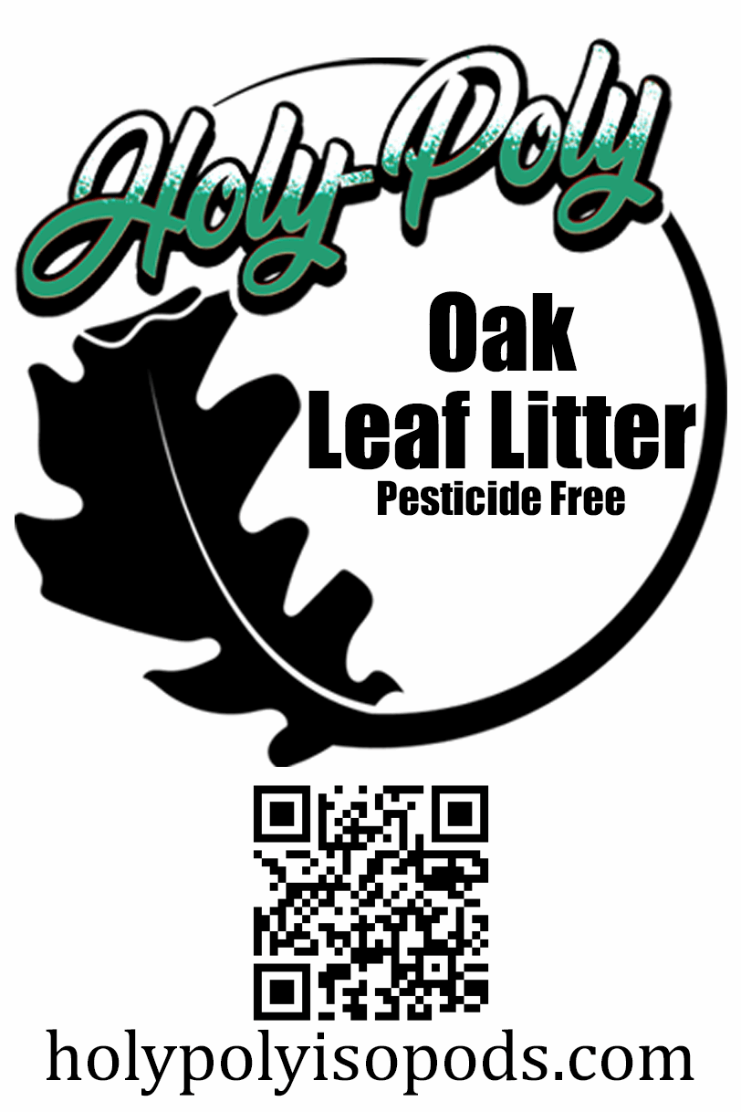 Holy Poly Isopods - Pesticide Free Oak Leaf Litter (Reptile Dart Frog Amphibian Gecko Bioactive Terrarium Vivarium Decor Isopoda Crustacean leaves)