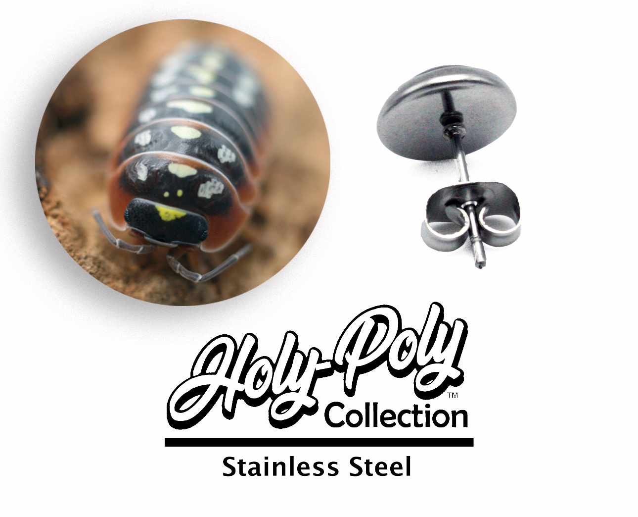 Montenegro Clown Isopod Stainless Stud Earrings (Rollie Pollie Roly Poly pillbug pet isopoda)