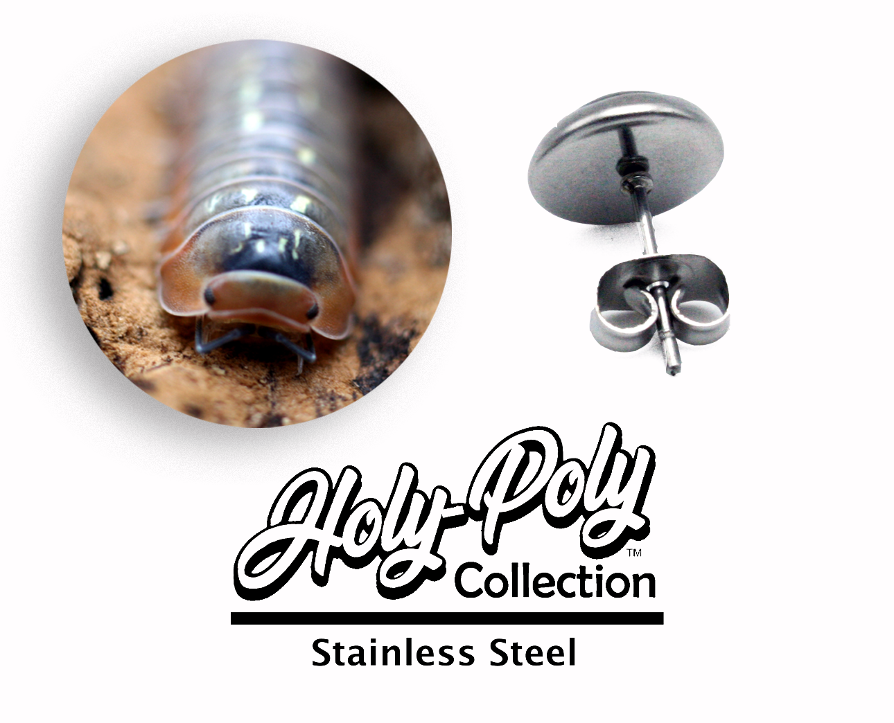 Dream Isopod Stainless Stud Earrings (Rollie Pollie Roly Poly pillbug pet isopoda)