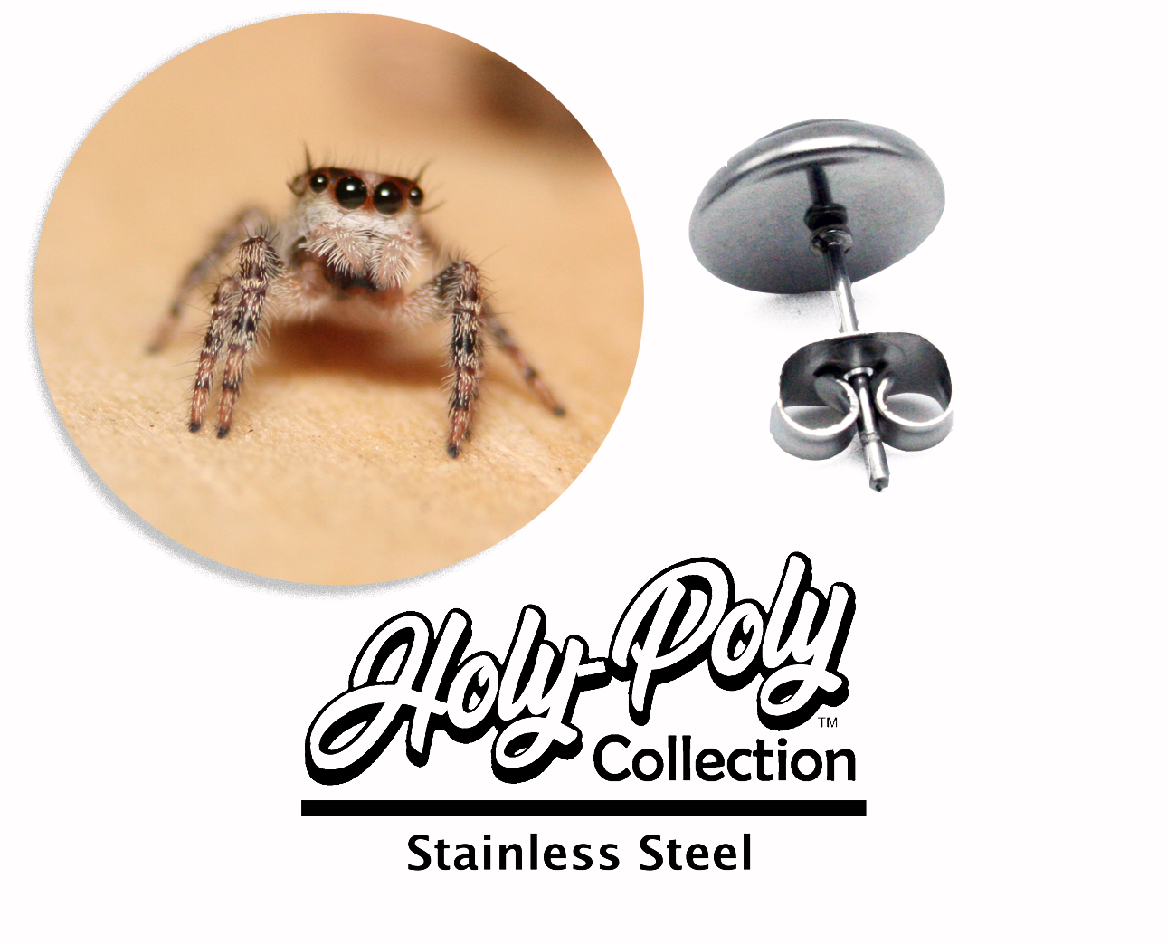 Adorable Otisius Jumping Spider (cute) - Stainless Stud Earrings