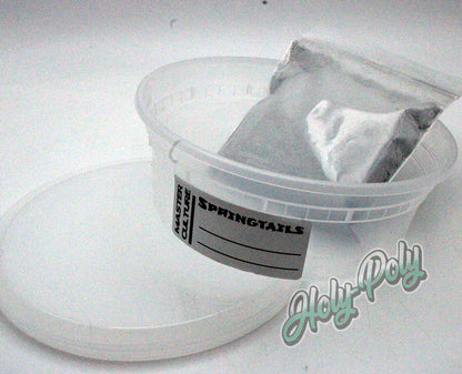 DIY springtail master culture kit with Holy-Poly Calcium Clay, 8 oz culture cup and springtail supplies