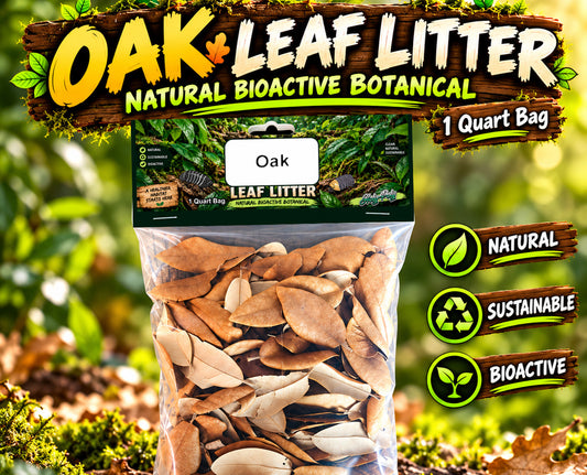 Holy Poly Isopods - Pesticide Free Oak Leaf Litter (Reptile Dart Frog Amphibian Gecko Bioactive Terrarium Vivarium Decor Isopoda Crustacean leaves)