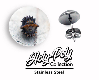 Thai Spiky Isopod Stainless Stud Earrings (Rollie Pollie Roly Poly pillbug pet isopoda)